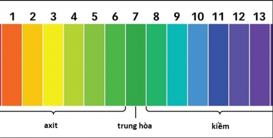 3 phương pháp đơn giản để đo độ pH của nguồn nước