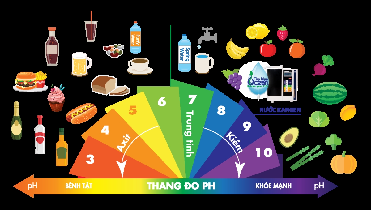 ảnh hưởng độ pH của nước đối với cơ thể